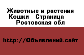 Животные и растения Кошки - Страница 5 . Ростовская обл.